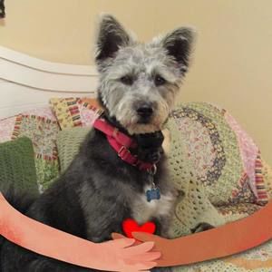 Meet your Posher, Rhonda